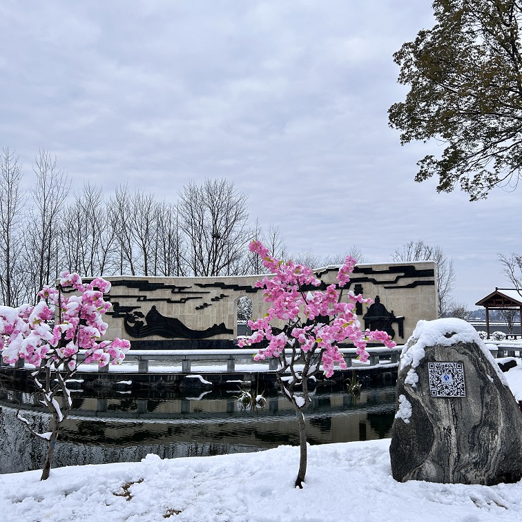雪2.jpg