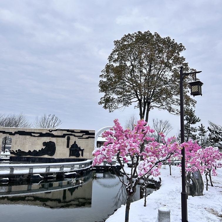 雪4.jpg